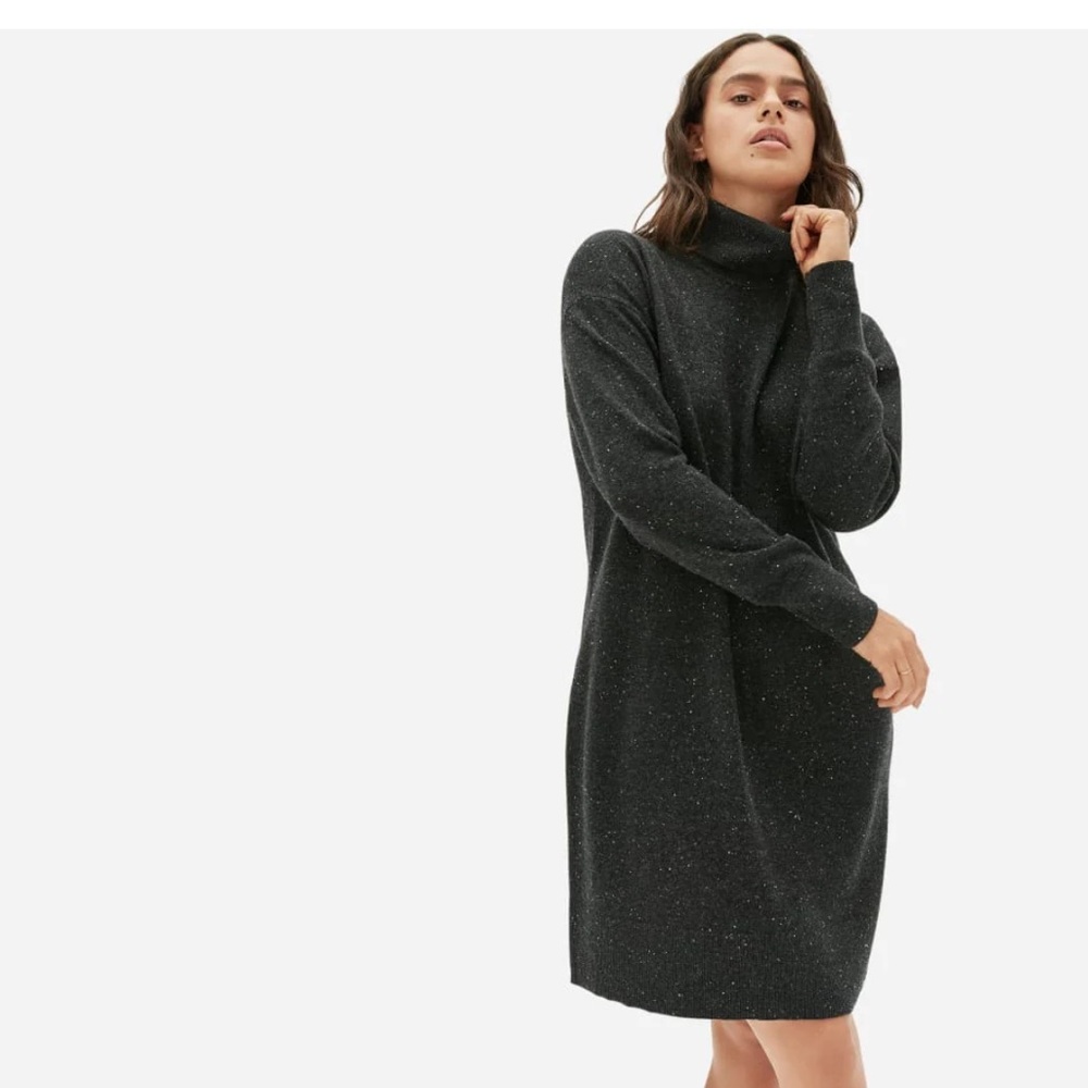 Everlane THE CASHMERE TURTLENECK DRESS